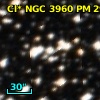 Cl* NGC 3960     PM      29