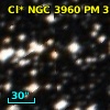 Cl* NGC 3960     PM      31