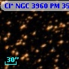 Cl* NGC 3960     PM      35