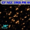 Cl* NGC 3960     PM      44