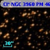 Cl* NGC 3960     PM      46