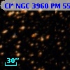Cl* NGC 3960     PM      55