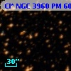 Cl* NGC 3960     PM      60