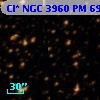 Cl* NGC 3960     PM      69