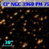 Cl* NGC 3960     PM      75