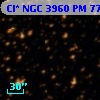Cl* NGC 3960     PM      77
