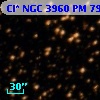 Cl* NGC 3960     PM      79