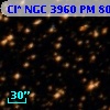 Cl* NGC 3960     PM      80
