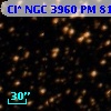 Cl* NGC 3960     PM      81