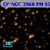 Cl* NGC 3960     PM      85