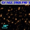 Cl* NGC 3960    PMS  300814