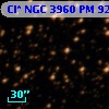 Cl* NGC 3960     PM      92