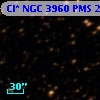 Cl* NGC 3960    PMS   21298