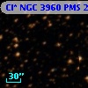 Cl* NGC 3960    PMS   22675