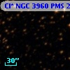 Cl* NGC 3960    PMS   24538