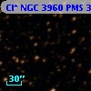 Cl* NGC 3960    PMS  300330