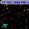 Cl* NGC 3960    PMS  301327