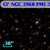Cl* NGC 3960    PMS   23020