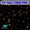 Cl* NGC 3960    PMS   24672