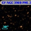 Cl* NGC 3960    PMS   25833