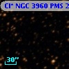 Cl* NGC 3960    PMS   24150