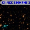Cl* NGC 3960    PMS   21811