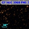Cl* NGC 3960    PMS   20661