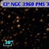 Cl* NGC 3960    PMS  301316