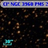 Cl* NGC 3960    PMS   25901