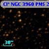 Cl* NGC 3960    PMS   21524