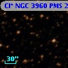 Cl* NGC 3960    PMS   24665