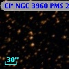 Cl* NGC 3960    PMS   21107