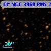 Cl* NGC 3960    PMS   20538