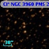 Cl* NGC 3960    PMS   21961