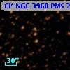 Cl* NGC 3960    PMS   23132