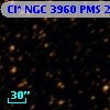 Cl* NGC 3960    PMS   20259