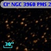 Cl* NGC 3960    PMS   20665