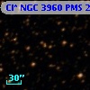 Cl* NGC 3960    PMS   26136