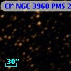 Cl* NGC 3960    PMS   21965