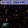 Cl* NGC 3960    PMS   24668