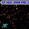 Cl* NGC 3960    PMS   24594