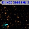 Cl* NGC 3960    PMS   25090