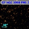 Cl* NGC 3960    PMS   24359