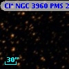 Cl* NGC 3960    PMS   26056