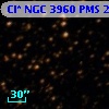 Cl* NGC 3960    PMS   23014