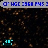 Cl* NGC 3960    PMS   25080