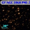Cl* NGC 3960    PMS   20780