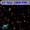 Cl* NGC 3960    PMS   24515
