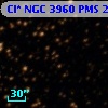 Cl* NGC 3960    PMS   20670