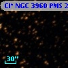 Cl* NGC 3960    PMS   21874